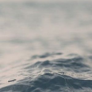 Meet your Posher, Lizzy